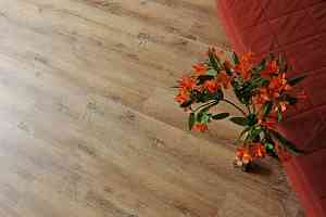 Кварцвиниловые полы Ecoclick Rich клеевой 2.5мм NOX-2059 Дуб Марракеш фото  | FLOORDEALER